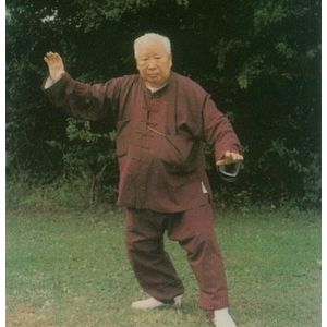 ����������̫��ȭ�ʴ�