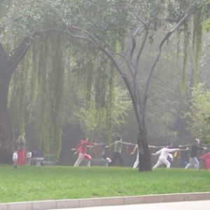 ̫ȭϡӰϱżǡ¼̫ȭ