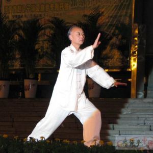 ̫ȭϡӯʽ̫ȭҳĶԻͳ  