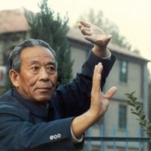 ���������������۵ľ���ʵʩ