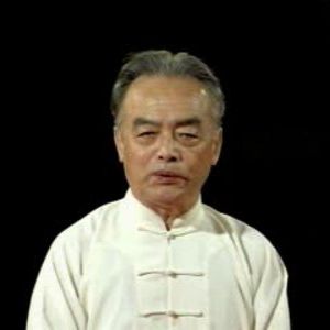 2013 �й��������ʹ