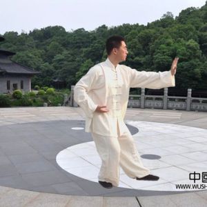 ��ʽ̫��ȭ�����γɳ�̽