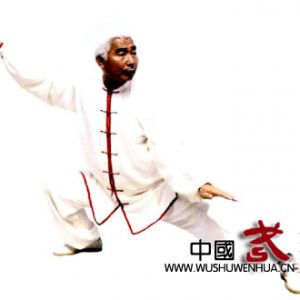 �������졪����̫��ȭ�����Żݷ�ĶԻ�����ǣ���ɽ��ˮ