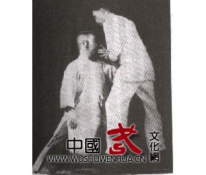 ������������������̫��ȭ