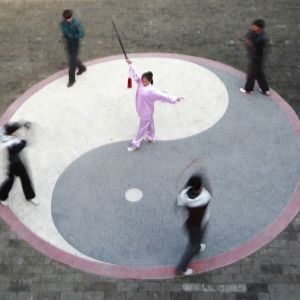 ��̫��ȭ���ۡ�ǳ̸̫��ȭ�����ᡱ�롰��ա��ı�֤��ϵ  �����ͣ�