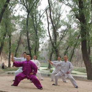 ضཻ ǿǿıչ¡̫ȭݵһν