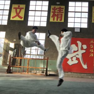 ��̫��ȭ���ۡ�̫��ȭ��������ԭ������壩