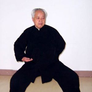 ̫ȭʦȫ90 ߳ʽ̫ȭ