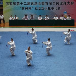 ����ʡʮ���������̫��ȭ�����¼ҹ�����