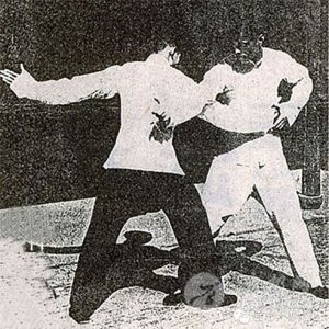 ̫ȭ̫ۡȭжǿ㲻֪̫