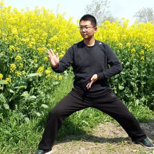 ��̫��ȭ���ۡ�̫������С����