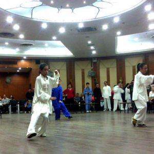 Ϻٰ2014Ȫ̫ȭʽ̫ȭе