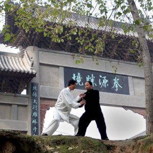 ̫ȭ̫ۡȭϰǳ-׿㾧