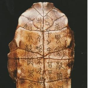 �й��鷨��������Ƭ��ÿ��һ�飬�������ȣ�