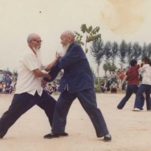 ̫��ȭ֮ƽ����