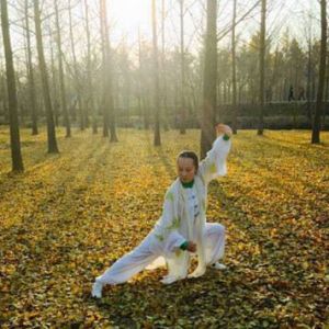 ׯʽ̫ȭо᳤ᡪշ Ҳܱ