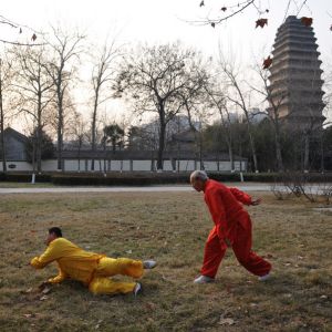 ��̫��ȭ���ۡ�̫��ȭ��������������