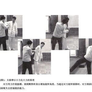 ��̫��ȭ���ۡ�̫��ɢ��Ҫּ