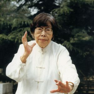 ��̫��ȭ���ۡ�����̫��ȭ��Ϊ�г�������