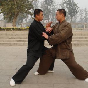 ���ҿ����������̫��ȭ���ֵ������ɡ�