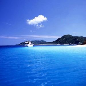 ��̫��ȭ���ۡ�ǳ̸̫��ȭ�Ŀ����˻�