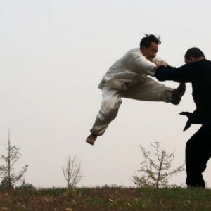 ����磺��̸̫��ȭ������̫��ȭ���ۡ�