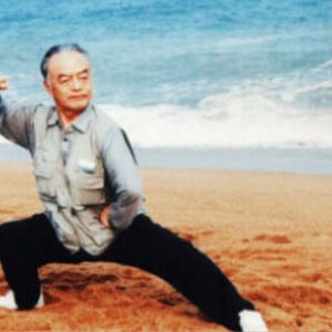 ��ʦ����������µ�̫�����۲Ƹ�