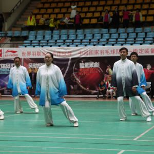 ¼ҹ̫ȭЭܻƾʮ˰ղμȫ