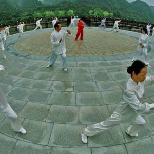 ��ʽ̫���ȵ�ѵ������