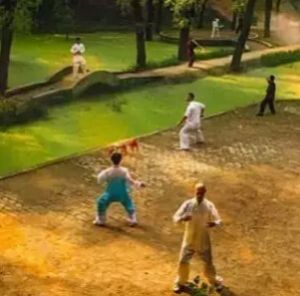 ��λ������ϵĽ���