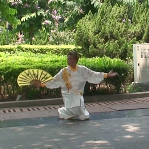 سʽ̫ȭϼһ·ʽ̫-׽̫ȭƵƷ