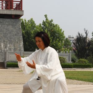 ̫ȭʮʽ̫ȭ-׽̫ȭƵƷ