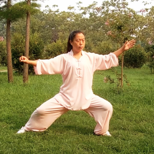 Ӣ̫ȭ24ʽ-׽̫ȭƵƷ