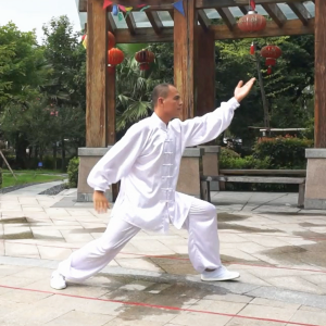 վ̫ȭ¼һ·83ʽ-׽̫ȭƵƷ