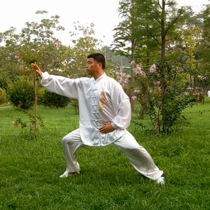 ߴǬ̫ȭ·- ׽̫ȭƵƷ