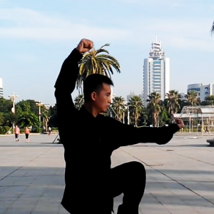 쳳ʽʮʽ-׽̫ȭƵƷ