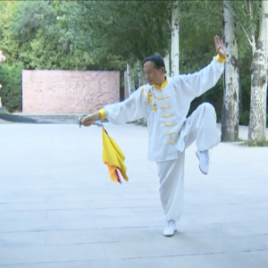 شТ37ʽ̫ȭ36-׽̫ȭƵƷ