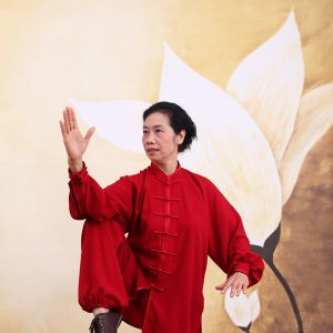 ϼͳʽ̫ȭ̫-׽̫ȭƵƷ