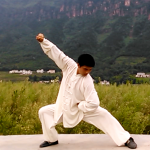 ʽ̫ȭҪ26ʽ-׽̫ȭƵƷ