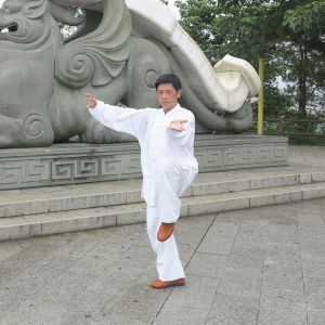 Źͳ̫ȭϼһ·ʮʽʮһƻ׮̫ȭ-׽̫ȭƵ  ...