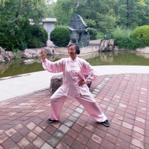 Ԫʽ̫ȭ18ʽʽ̫-׽̫ȭƵƷ