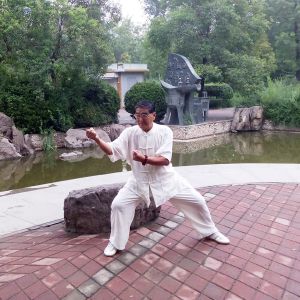 鴿ʽ̫ȭСһ·-׽̫ȭƵƷ