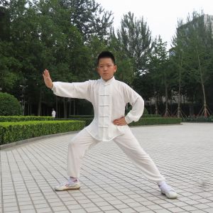 ʽʮʽʽ̫---׽̫ȭƵƷ