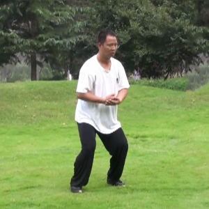 ǳʽ̫ȭСһ·ʽ̫ȭС·-׽̫ȭƵ  ...