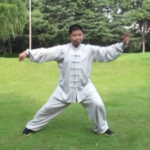 ΰܳʽ̫ȭС·-׽̫ȭƵƷ