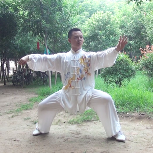 36ʽ̫ȭ---׽̫ȭƵƷ