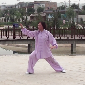 Ѧɻ̫ȭϼһ·-׽̫ȭƵƷ