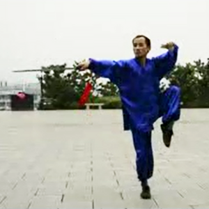 ־ʮʽ̫56ʽ̫ȭ̫ȭϼܶ·ʮʽ̫ȭ-׽ ...