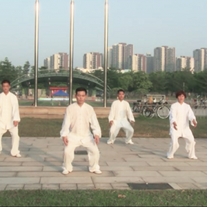 㶫̫ݳ̫ȭҪʮʽ-׽̫ȭƵƷ