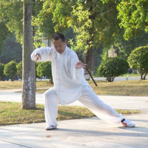 ̫ȭҪʮʽ-׽̫ȭƵƷ